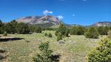 60 Colorado Land & Grazing - Photo 31