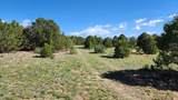 60 Colorado Land & Grazing - Photo 33
