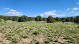 60 Colorado Land & Grazing - Photo 35