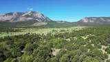 60 Colorado Land & Grazing - Photo 37