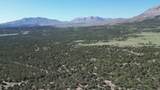 60 Colorado Land & Grazing - Photo 41