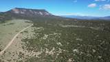 60 Colorado Land & Grazing - Photo 5