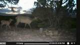 3 Colorado Land & Grazing - Photo 11