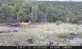 3 Colorado Land & Grazing - Photo 14