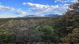 3 Colorado Land & Grazing - Photo 17