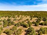 115 Cedar Canyon Rd - Photo 50