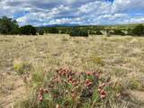 TBD Majors Ranch Phase 1 - Photo 11