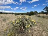 TBD Majors Ranch Phase 1 - Photo 15
