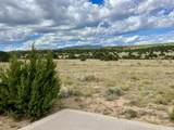 TBD Majors Ranch Phase 1 - Photo 9