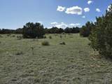 8 Tres Amigos Trail - Photo 13