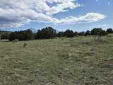 8 Tres Amigos Trail - Photo 9