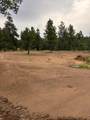 21270 Spirit Mountain Drive - Photo 12
