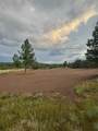 21270 Spirit Mountain Drive - Photo 13