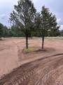 21270 Spirit Mountain Drive - Photo 16