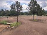 21270 Spirit Mountain Drive - Photo 17