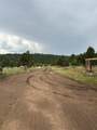 21270 Spirit Mountain Drive - Photo 20