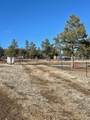 21270 Spirit Mountain Drive - Photo 21