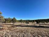 21270 Spirit Mountain Drive - Photo 23