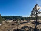 21270 Spirit Mountain Drive - Photo 24