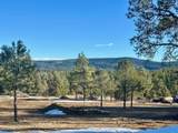 21270 Spirit Mountain Drive - Photo 25