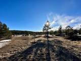 21270 Spirit Mountain Drive - Photo 32