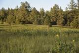 21270 Spirit Mountain Drive - Photo 8