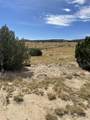 TBD Spanish Peaks Trail - Photo 25