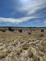 TBD Spanish Peaks Trail - Photo 8