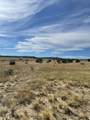 TBD Spanish Peaks Trail - Photo 9