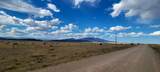 TBD County Road 524 - Photo 11