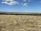 000 Las Animas Ranches - Photo 13