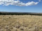 000 Las Animas Ranches - Photo 14