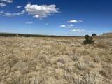 000 Las Animas Ranches - Photo 18