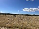 000 Las Animas Ranches - Photo 8