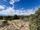 TBD Comanche Drive - Photo 10