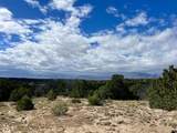 TBD Comanche Drive - Photo 14