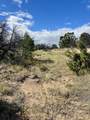 TBD Comanche Drive - Photo 7