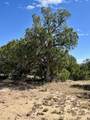TBD Comanche Drive - Photo 8