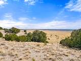 TBD County Road 121 - Photo 2