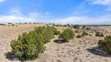 TBD County Road 121 - Photo 6