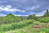 33041 Big Springs Overlook - Photo 9