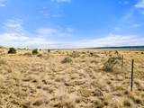 TBD County Road 121 - Photo 4
