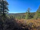 TBD Lot 68 North Fork Ranch - Photo 10