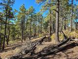 TBD Lot 68 North Fork Ranch - Photo 13