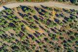 33250 Fox Trail - Photo 19