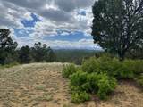 24900 County Rd 30.1 - Photo 13