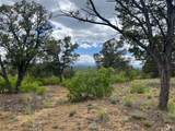24900 County Rd 30.1 - Photo 17