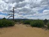24900 County Rd 30.1 - Photo 20