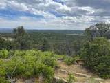 24900 County Rd 30.1 - Photo 23