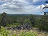 24900 County Rd 30.1 - Photo 25